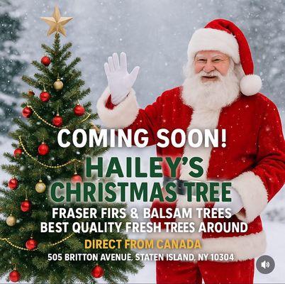 Trees will arrive Nov 26th 2025. Come check us out!! You won't be disappointed.
