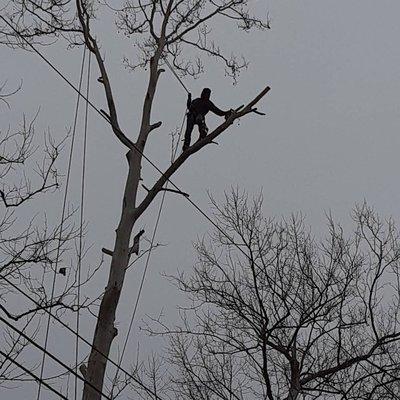 Summers Landscaping & Tree Service