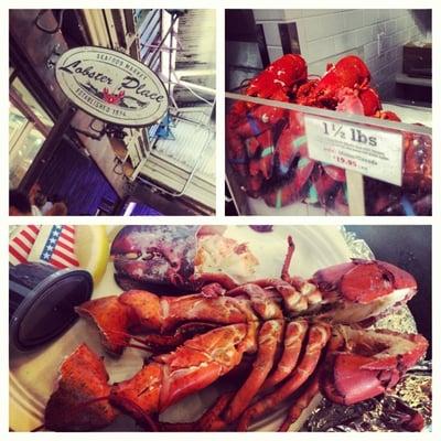 fresh lobster for lunch !