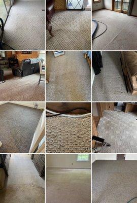 Color Tech Carpet Care