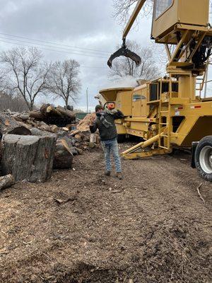 Sequoia Tree Service