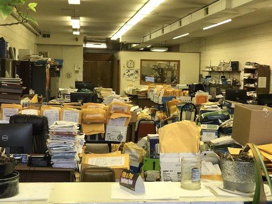 Milutinovic Rocky Accountant & Tax Consultant