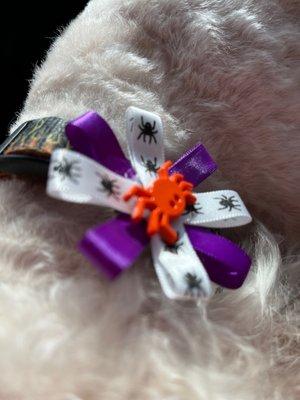 Hair of the Dog Pet Grooming