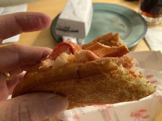Maine lobster roll, cold meat with a touch of mayo on a buttered and toasted bun