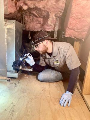 We will look for the rodents so you don't have to!