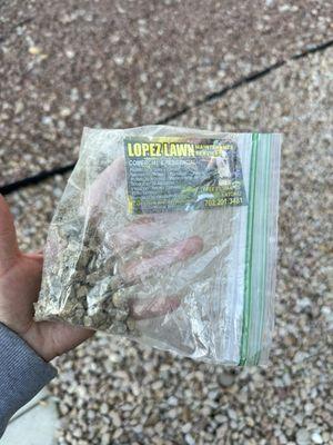 Lopez Lawn Maintenance