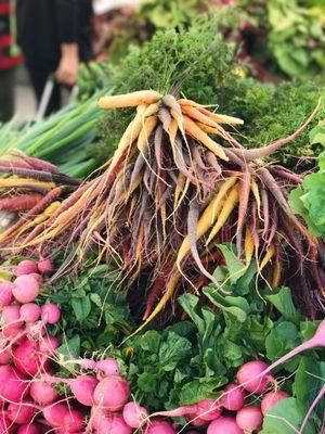 Nourishing Minds Nutrition