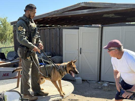 Big Valley Dog Training