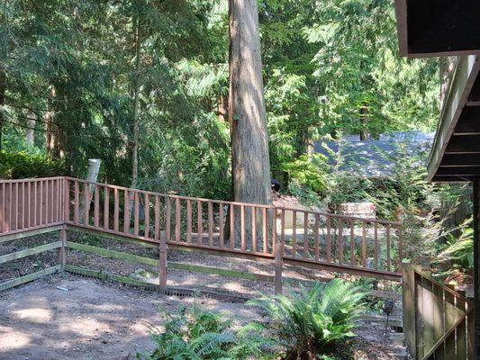 Precision Tree Service