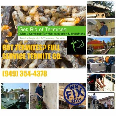 Termite Control Specialists