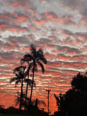 Integrity Mortgage Licensing