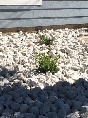 R & B's Mobile Detail Services