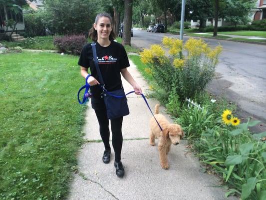 Rock Star Dog Walking & Pet Sitting