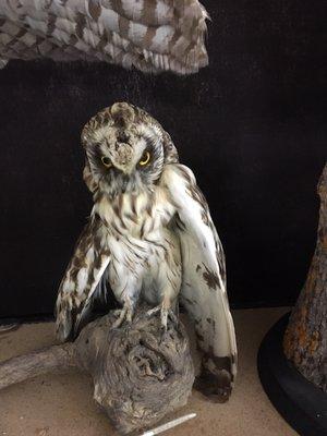 Cache Creek Conservancy