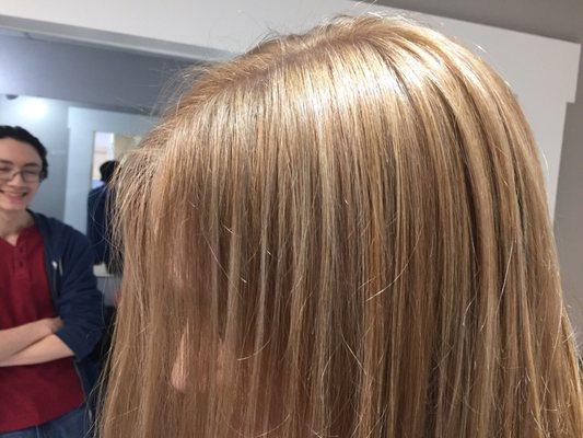 Color Id service. Blending of many shades of blonde