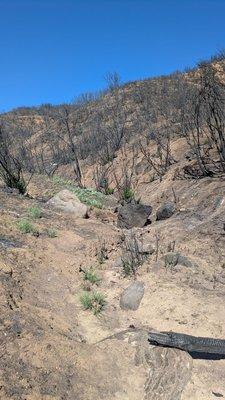 Pacific Crest Trail Section 7