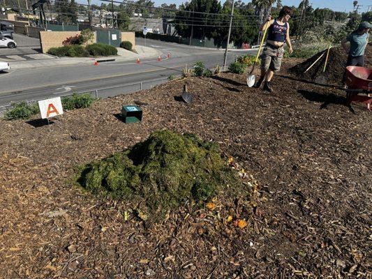 My yard waste donation