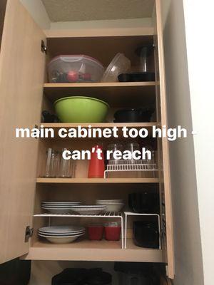 Steeplechase on Maple