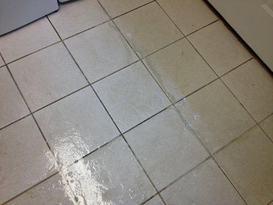 King of Kings Carpet Cleaning