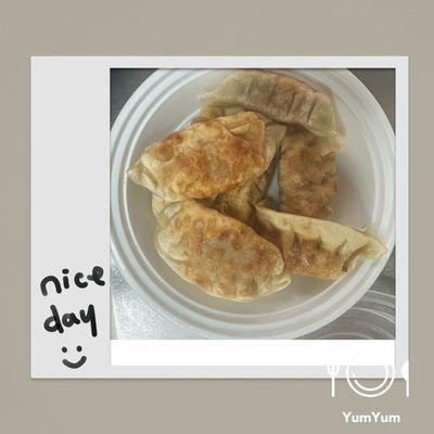 fried pork dumplings