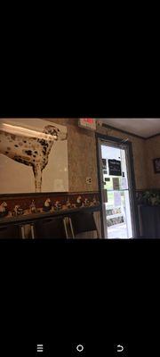 Crossroads Animal Hospital