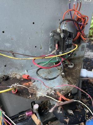 Wiring Replacement & interior cleaning