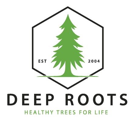Deep Roots