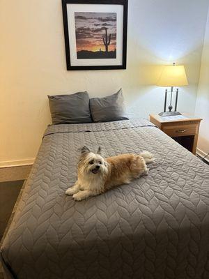 The Princess Queen, off-road and geared up for Slumberland.