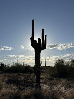 Pima Dynamite Trailhead