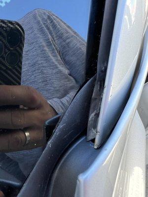 Signature Auto Glass