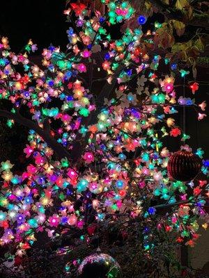 Butch Bando's Fantasy of Lights
