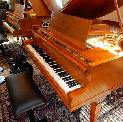 Hillmann Piano Studio