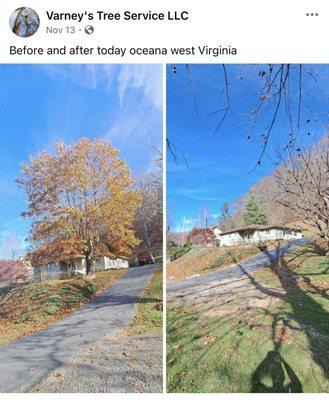 Varney's Tree Service