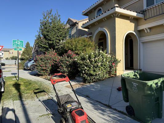 1 4 All Lawn Care and More