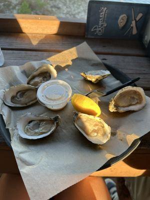 Lynn's Quality Oysters