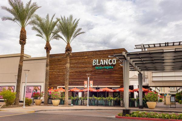 Blanco Cocina + Cantina