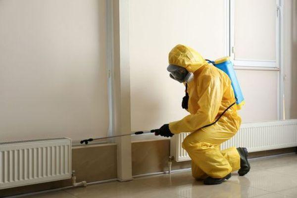 Insect Defense Services