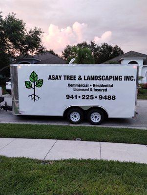 Asay Tree & Landscaping