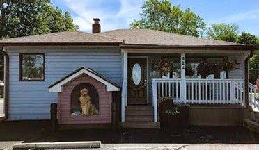 Franklin Animal Clinic