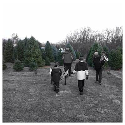 Wagner Christmas Tree Farm