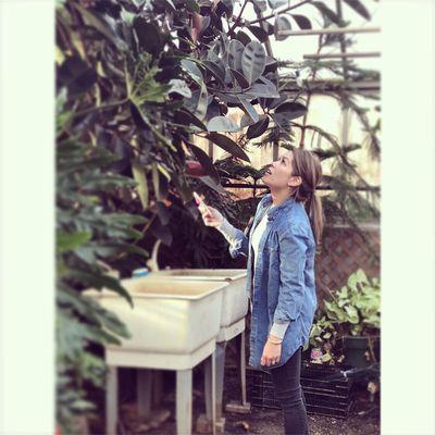 Chadds Ford Greenhouses