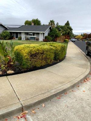 The client wanted a clean curb appeal.
