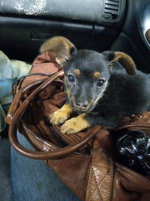 Mistys Bookkeeping & Tax Service