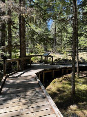 Trail of Two Forests Interpretive Site