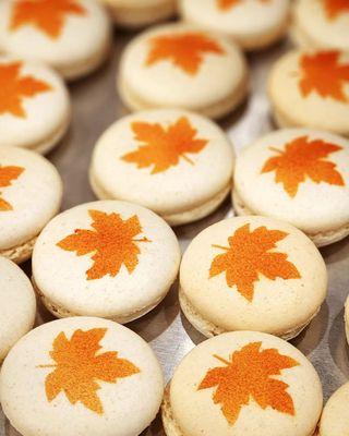 Merry Bear's Kitchen