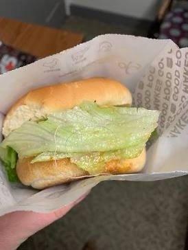 BRUTNETTE HAIR IN MY BURGER?!!!