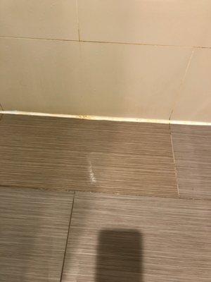Quality Inn Near Sunset Park