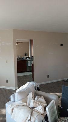 Gray Drywall & Paint