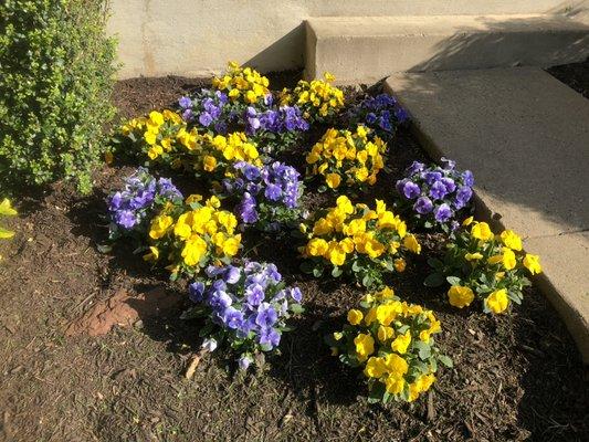 Dogwood Landscaping And Construction Services