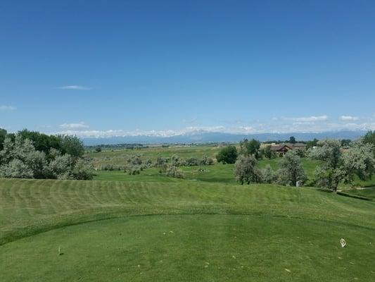 Mad Russian Golf Tee Time